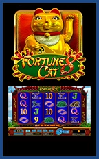 Fortune8Cat